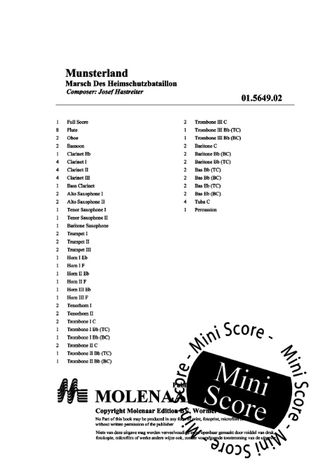 Mnsterland (Marsch des Heimschutzbataillon 731) - klik hier