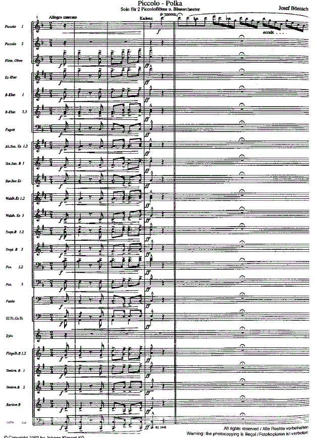 Piccolo Polka - Muzieknotatie-voorbeeld